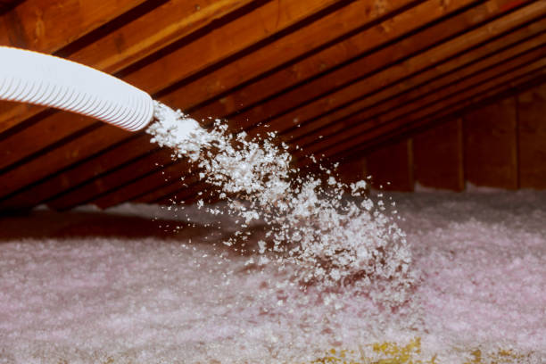 Best Geographic-Specific Insulation Services in Winlock, WA