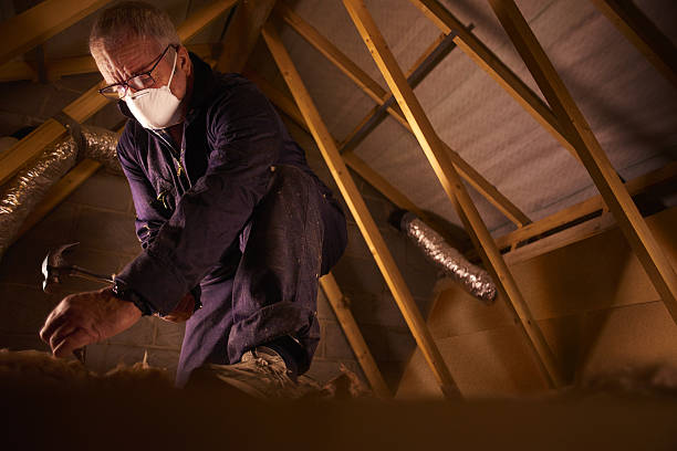 Best Fiberglass Insulation in Winlock, WA